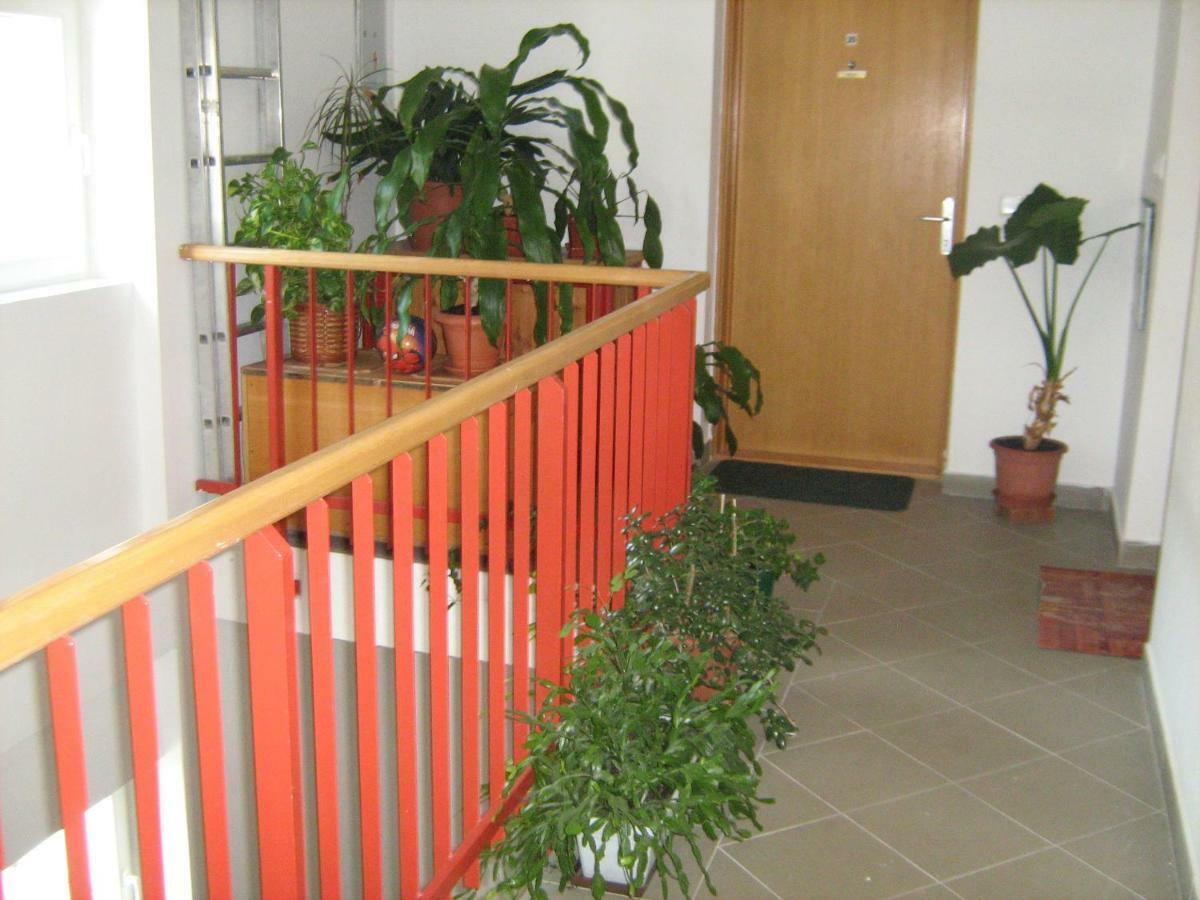 Apartment Diklic Senj  Buitenkant foto